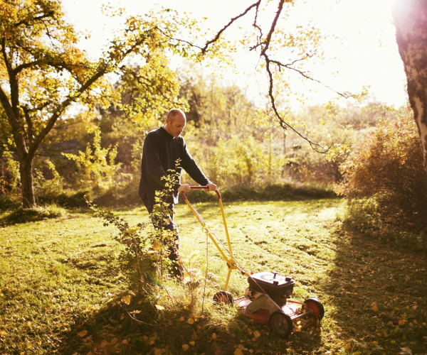 Forberede hagen om høsten – slik gjør du det